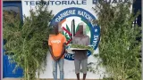 beoumi un champ de cannabis detruit deux individus interpelles